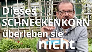 Dieses BIOSchneckenkorn überleben sie NICHT [upl. by Ahsiekahs]