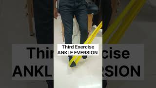 4 Best Ankle Strengthening Exercises  Ankle Sprain Exercises  ankleexercises [upl. by Nomead]