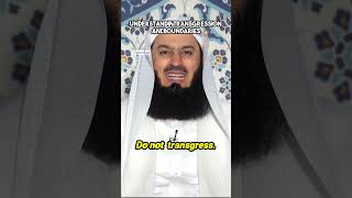 Understanding Transgression and Boundaries  Mufti Menk  shorts viralreels viralshort [upl. by Nilrev]