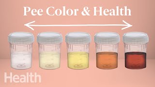 What Your Urine Color Says About Your Health  Urinary System Breakdown  DeepDives [upl. by Marinna]