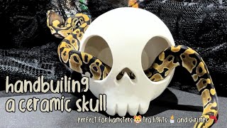 handbuilding from sphere to skull 💀 simple ceramic project  TikTok compilation [upl. by Neitsabes]