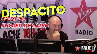 DESPACITO  CEST DU FUMIER DE LAPIN [upl. by Trudie292]