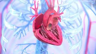 Tricuspid regurgitation symptoms causes and treatment  Animation [upl. by Adnahcir693]