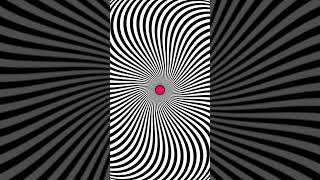 Monochrome Hypnosis A Mesmerizing Black And White Illusion illustration trippy shorts illusion [upl. by Darren]