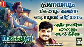 Kallipoonkuyile  Malayalam Mappila Pattukal  Mappila Couple Songs  Mappila Songs  Afsal [upl. by Yar]