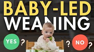 What Every Parent NEEDS To Know BEFORE Starting Baby Led Weaning [upl. by Sayette836]