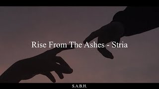 Rise From The Ashes  Stria  Sub EspañolInglés [upl. by Charlie768]