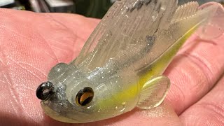 I Caught 75 Bass On This Lure The First Day I Fished It… [upl. by O'Hara]