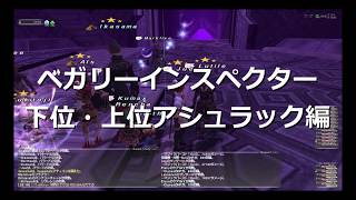 【FF11】ベガリーインスペクター 下位・上位ハデス編 [upl. by Ottavia313]