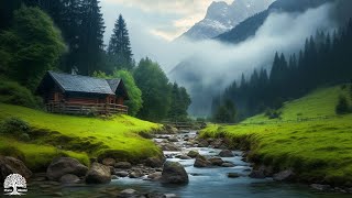 Beautiful Relaxing Music  Stop Overthinking Stress Relief Music Sleep Music Calming Music 1 [upl. by Tobit89]