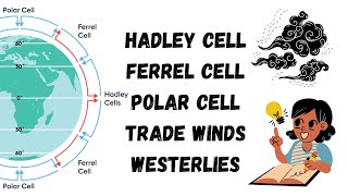 Atmospheric Circulation What is a Hadley cell Ferrel cell Polar cell and Westerlies [upl. by Aerdnas]