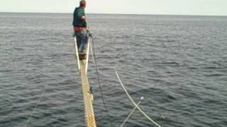 Blue Fin Tuna Fishing in the Gulf of Maine Harpoon [upl. by Norvin]