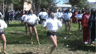 L W HIGGINS 20112012 DIAMOND DANCERS ALLA PARADE VIDEO 2 [upl. by Anirbed]