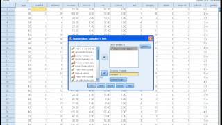 SPSS Tutorials Parametric and nonparametric student ttest [upl. by Oglesby]