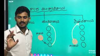 Thermal Conductance  තාප සංක්‍රාමණය  Sachira Dilanka  Science GCE OL [upl. by Enelyw]