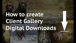 How to create photography client digital downloads  SmugMug [upl. by Meda]