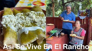 Las Enchiladas Verdes de Pollo MÁS Fáciles y Sabrosas que Probarás [upl. by Galanti89]