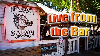 ⭕ Key West LIVE from the Bar 🎵 Hogs Breath Saloon [upl. by Airamesor993]