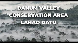 Discover the Wonders of Danum Valley Conservation Area [upl. by Laleb]