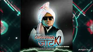 Choudhar Jaat Ki Slowed Reverb pradeep Patel [upl. by Cohn]