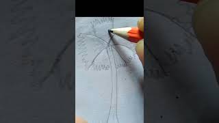 Tal Gas drawning  Palm tree drawing  drawing plamtree talgac [upl. by Analahs]