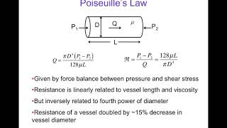 32 Introduction to the Biophysics of Blood Flow in the Circulation [upl. by Ydal]