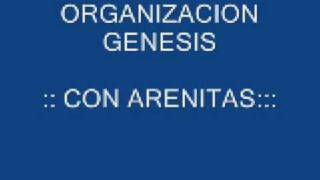 ORGANIZACION GENESIS CON ARENITAS [upl. by Etz616]