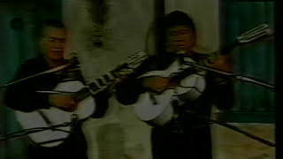 Tonico e Tinoco  Porque Programa Na Beira da Tuia  1983 [upl. by Cassandra]