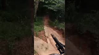 Riding the Pine Hill Mountain Bike Trails with my Dog in July 2024 mtb [upl. by Ennayhs]