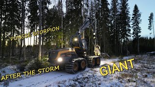 Ponsse Scorpion GIANT 4k  After the storm  Myrskypuiden korjuuta [upl. by Yud]