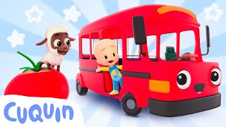 El bus comilón aprende colores y animales con Cuquín 😊🚍 Caricaturas y dibujos animados para bebés [upl. by Esilec]