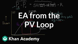 Getting Ea arterial elastance from the PV loop  NCLEXRN  Khan Academy [upl. by Ellasal]