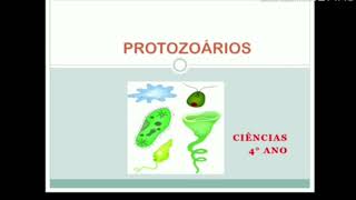 Ciências  Protozoários  4° Ano [upl. by Florie]