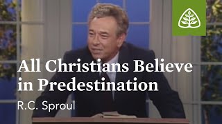 All Christians Believe in Predestination The Classic Collection with RC Sproul [upl. by Even340]