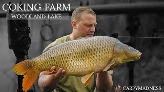 COKING FARM  WOODLAND LAKE  DAY TICKET SPRING CARP FISHING [upl. by Sheryl]