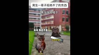 男生一辈子拒绝不了的东西 猫meme 猫meme小剧场 funny 故事 cat 武侠梦 武侠 貓 搞笑 cute 迷恋 pets 遊戲 [upl. by Oriole]