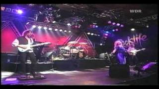 Melissa Etheridge  No Souvenirs 1993 Köln Germany [upl. by Jovia926]