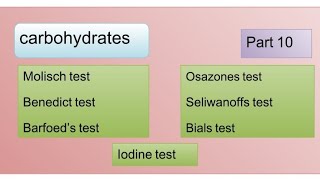 Molisch  Benedict  Barfoeds  seliwanoffs  Bials  Osazone amp Iodine test [upl. by Ayitahs]