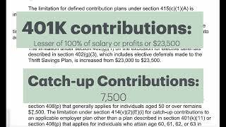 Self directed 401k contribution limits 2025 [upl. by Eserrehs]