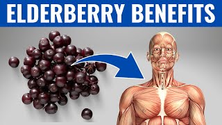 ELDERBERRY BENEFITS  13 Amazing Health Benefits of Elderberry❗️ [upl. by Rosamund]