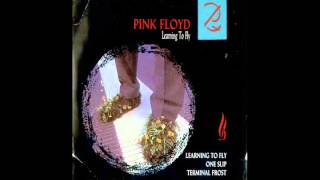 pink floyd learning to fly 51 channel five [upl. by Ayian]