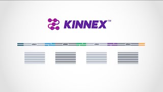 Kinnex explained—how concatenating smaller amplicons increases throughput for PacBio HiFi sequencing [upl. by Hillinck]