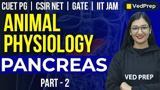 Animal Physiology  Pancreas  CUET PG  CSIR NET  GATE  IIT JAM  Part2 VedPrep Biology Academy [upl. by Dolley]