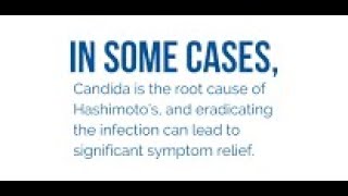 How Candida Could Be Causing Your Thyroid Issues amp What To Do About it with Dr Michael Biamonte [upl. by Langham498]