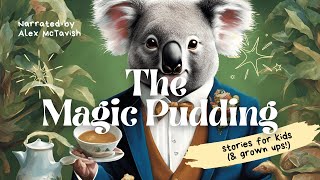 The Magic Pudding  The First Slice 20 minutes reading [upl. by Ajiat]