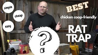 The BEST chicken coopfriendly RAT TRAP [upl. by Rawlinson]