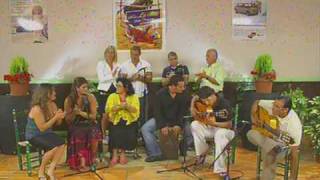 fiesta flamenca familia montilla por bulerias [upl. by Andrus]