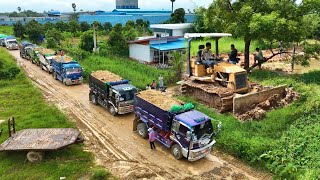 NEW Amazing Project Build Foundation Road By Skills Operator Bulldozer Pushing Soil With 5 Ton Truck [upl. by Cobby]