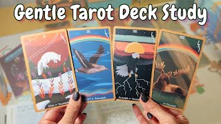 Exploring the suit of TRUTH 🌩🌈 Gentle Tarot Deck Study Week 3 🦅 [upl. by Sivatco]