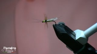 Little Stonefly [upl. by Pegma]